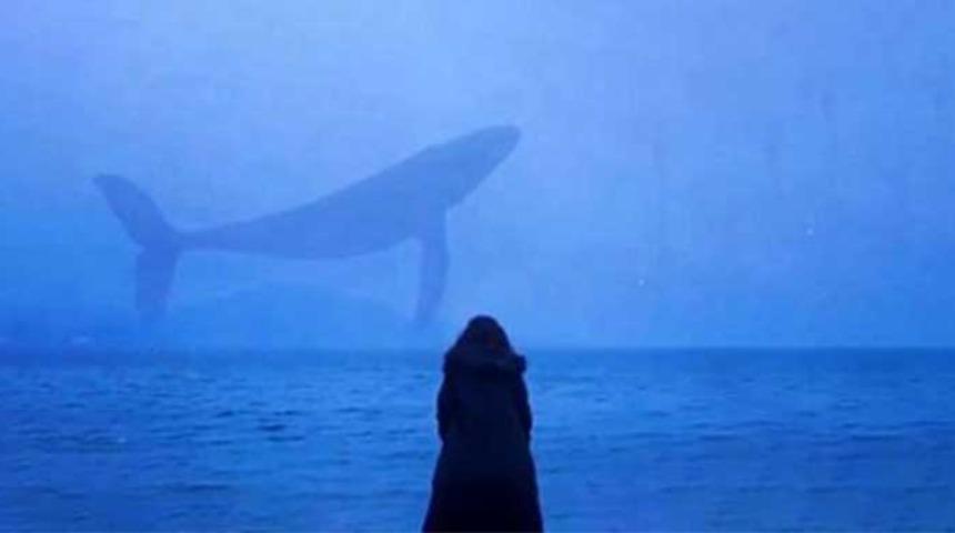 &Ccedil;ocuklar 'Mavi Balina&rsquo;yı &uuml;st&uuml;nl&uuml;k kurmak i&ccedil;in oynuyor