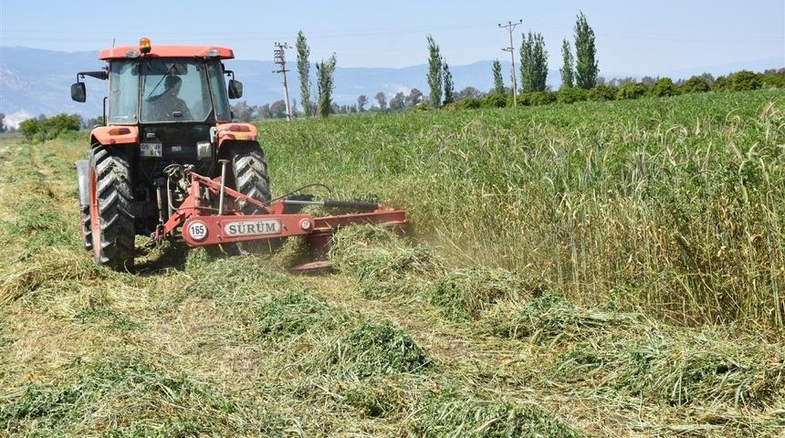 Aydın&rsquo;da 596 ton yem bitkisi tohumu dağıtıldı