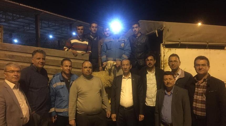 Gen&ccedil; &ccedil;ift&ccedil;ilere hayvanları teslim edildi