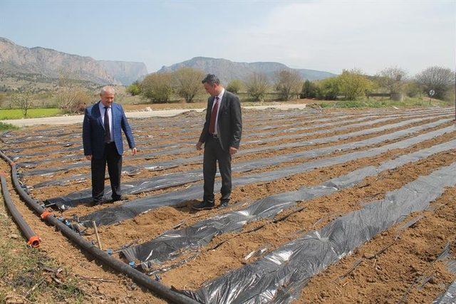 İl Müdürü Yoldaş, üreticilerle bir araya geldi