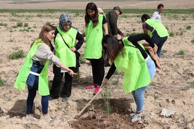 KYK’lı öğrenciler 300 fidanı toprakla buluşturdu