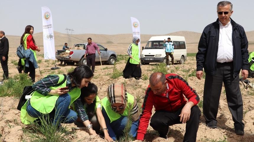KYK&rsquo;lı &ouml;ğrenciler 300 fidanı toprakla buluşturdu