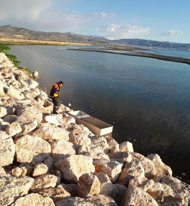 Van’da 50 kilogram inci kefali ile 100 metre misina ağ ele geçirildi