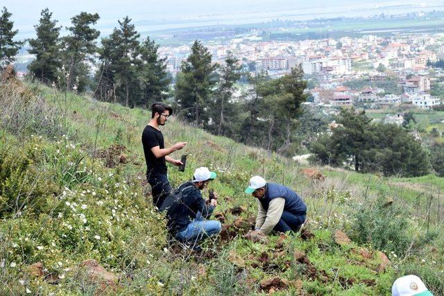 Hatay’da KYK öğrencileri fidanları toprakla buluşturdu