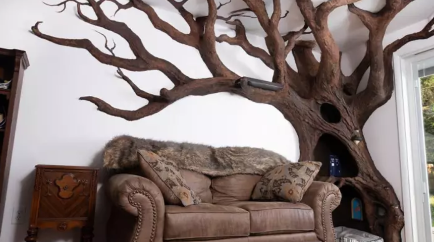 Kedisi i&ccedil;in evine &ouml;yle bir şey yaptı ki&hellip; Bir de fiyatını g&ouml;r&uuml;n