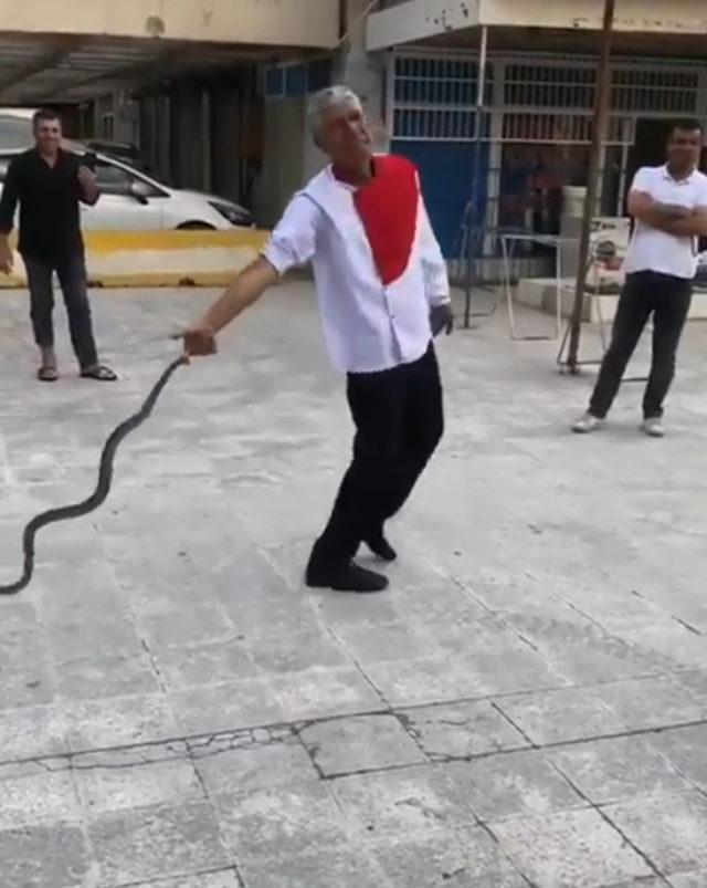 Bu kez de kendini yılana ısırttı
