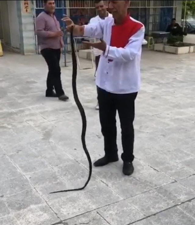 Bu kez de kendini yılana ısırttı