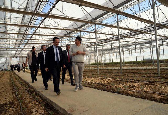 Vali Şentürk’ten tarım ve sanayi sektörüne ziyaret