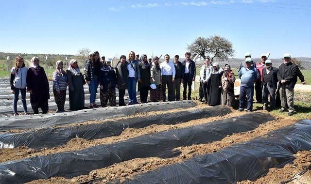 Atalantekke’de 30 bin çilek fidesi dağıtıldı