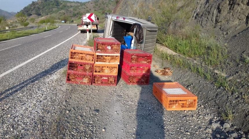 Tavuk yüklü hafif ticari araç devrildi:1 yaralı