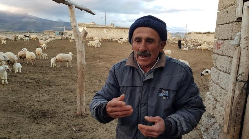 500 kuzunun anneleri ile buluşması hayranlık uyandırdı