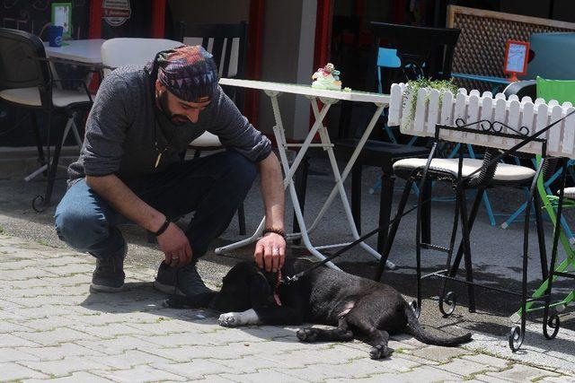 (Özel) Yemek sipariş veren müşterilerine beraberinde kuru mama gönderiyor