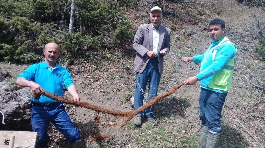 Su hattından 4 metrelik ağa&ccedil; k&ouml;k&uuml; &ccedil;ıktı