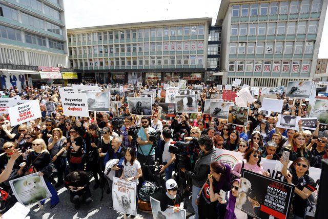 Ankara'daki hayvan katliamları protesto edildi