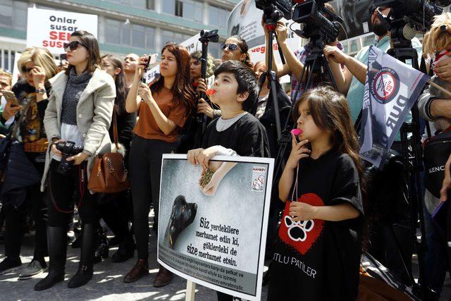 Ankara'daki hayvan katliamları protesto edildi