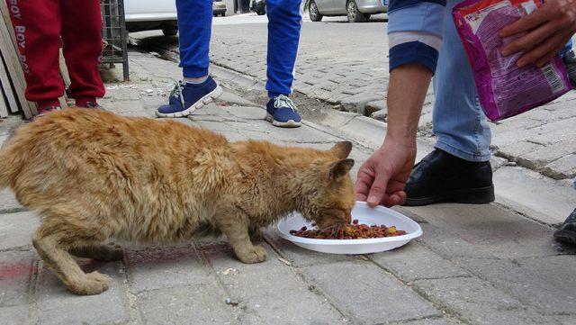 Eski kitapları satarak sokak hayvanlarına mama alıyorlar