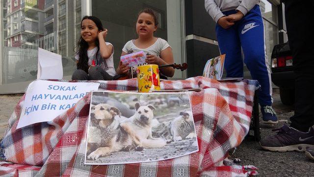 Eski kitapları satarak sokak hayvanlarına mama alıyorlar