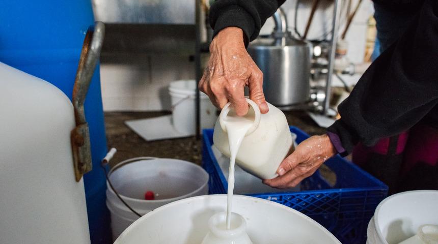 Kemikleri güçlendiren en önemli besinler