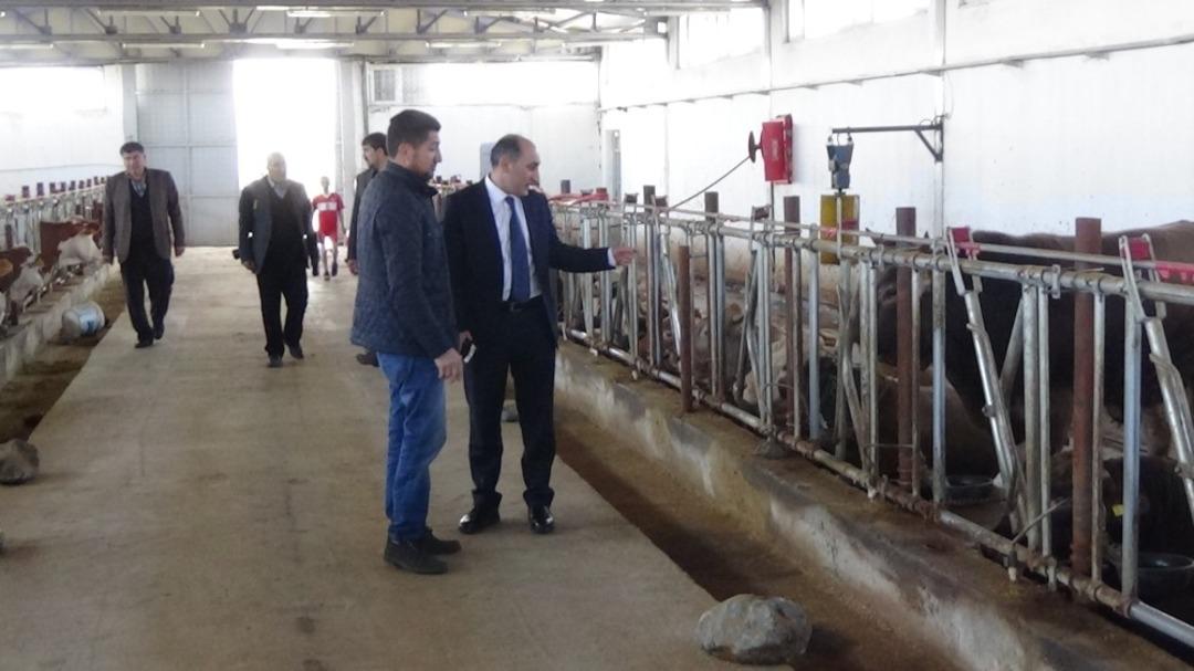 Devlet desteğiyle damızlık &ccedil;iftliği kurdu