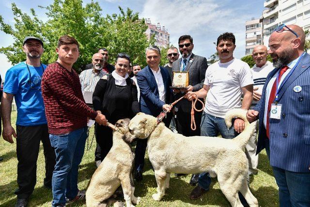 Uysal’dan yerellik vurgusu