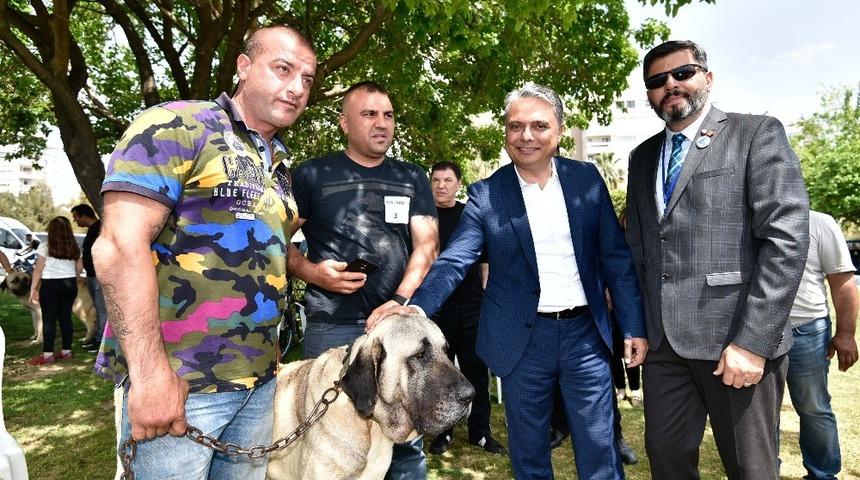 Uysal&rsquo;dan yerellik vurgusu