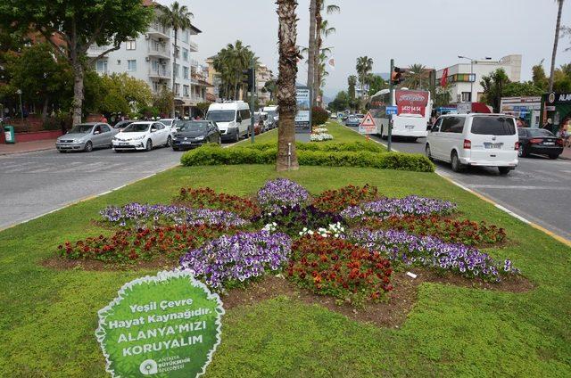 Büyükşehirden Alanya’ya 300 bin çiçek