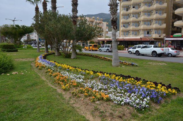 Büyükşehirden Alanya’ya 300 bin çiçek