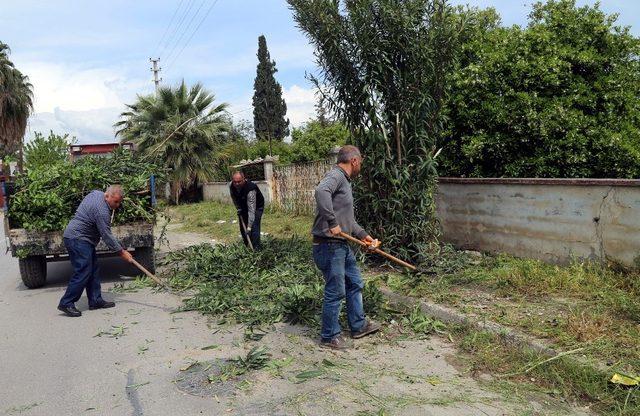 Akdeniz’de parklar bahara hazırlanıyor