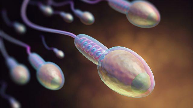 Sperm analizi nedir, ne için gerekir?