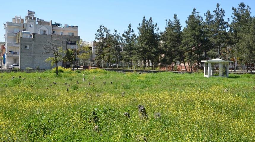 Tarihi mezarlara ilgisizlik tepkisi