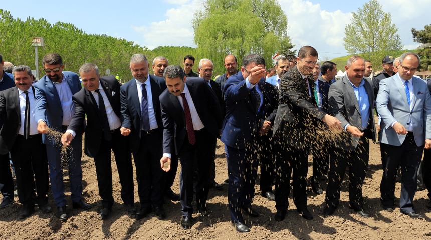 Tokat'ta kenevir ekimi yapıldı
