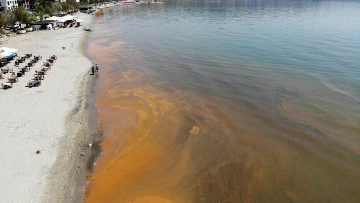 İstanbul'da korkutan görüntü! Bakın nedeni neymiş G2