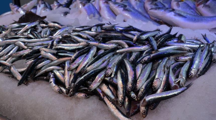 Mutlu şehirde balık tezgahları &ccedil;arpan ve hamsi ile s&uuml;slendi