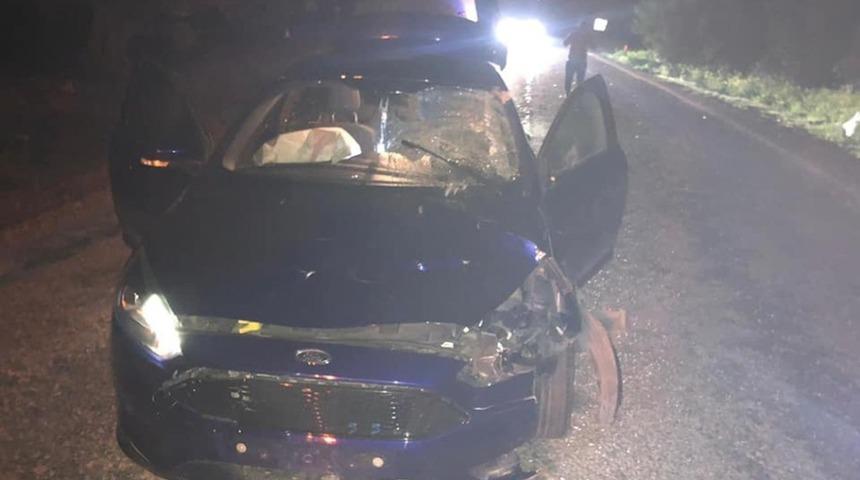 Otomobil yola &ccedil;ıkan ineğe &ccedil;arptı: 1 yaralı