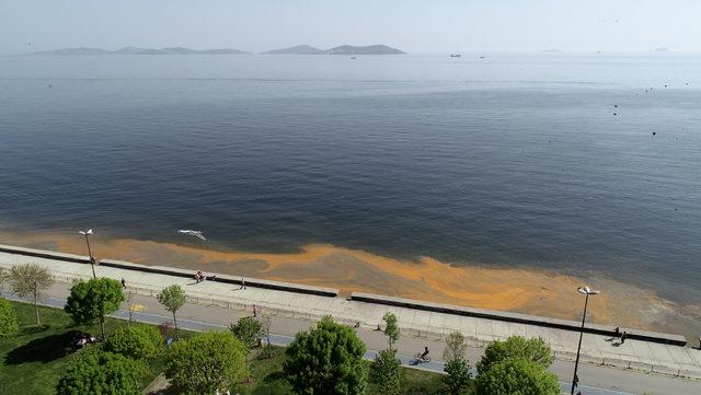 &nbsp;(Havadan fotoğraflarla)  Kadık&ouml;y sahili de turuncuya b&uuml;r&uuml;nd&uuml; 1