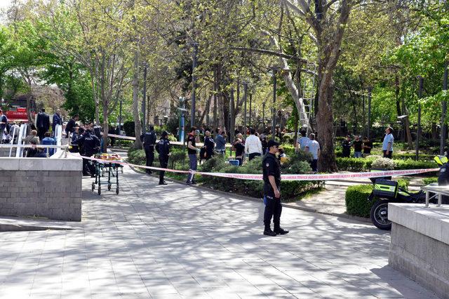 Ankara'da ağaçta intihara kalkışan kişiyi polis ikna etti