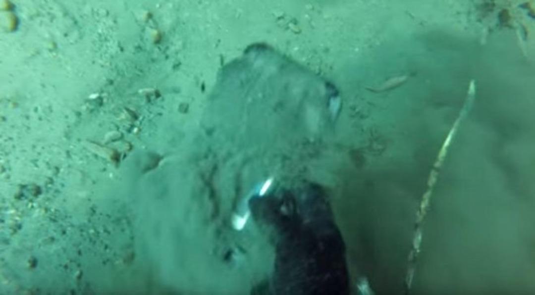 Fenomen dalgı&ccedil; şelaleden bakın ne &ccedil;ıkardı!