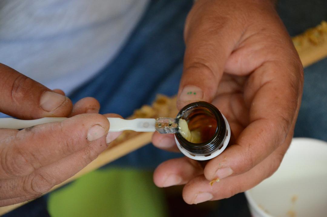  Gramla sağılan arıs&uuml;t&uuml;n&uuml;n kilogramı 10 bin TL&rsquo;ye satılıyor