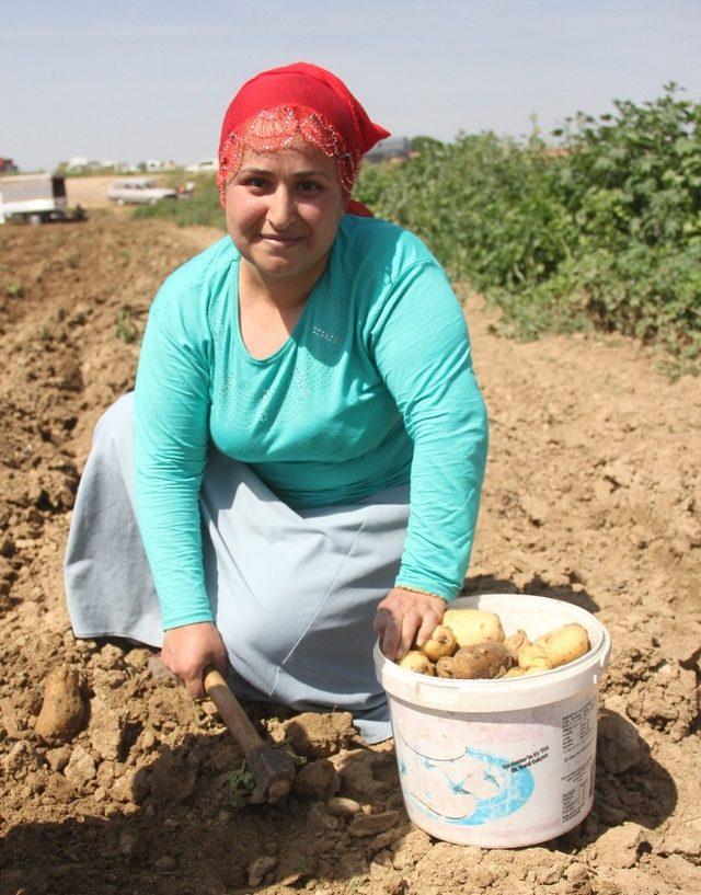 Terk edilen kadının dramı