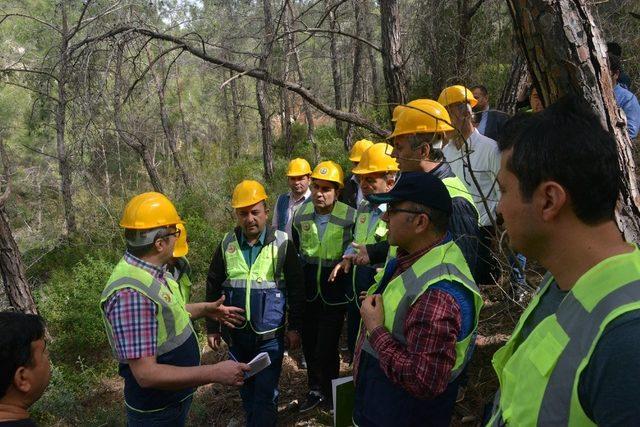 Mersin Orman Bölge Müdürlüğünde ormanları sertifikalandırma süreci başladı