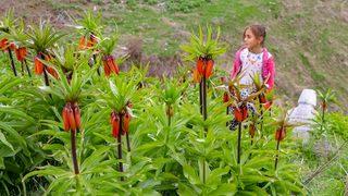 'Ağlayan gelin' görsel şölen sunuyor 