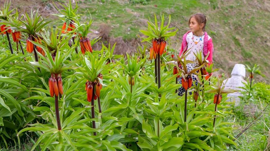 'Ağlayan gelin' görsel şölen sunuyor 