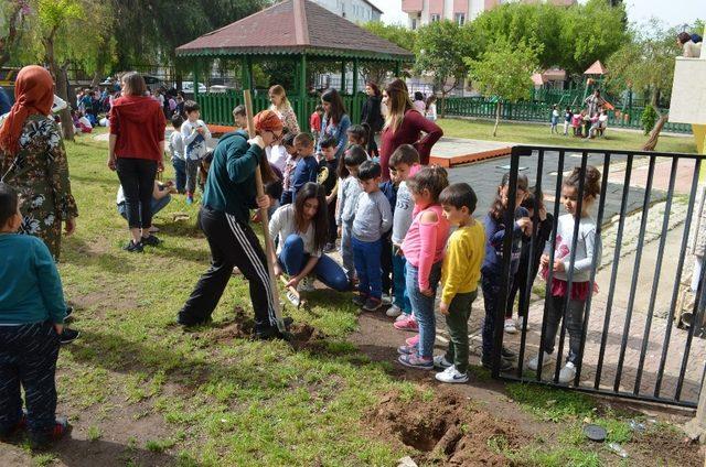 Akdeniz Üniversitesi, anaokullarına fidan dikiyor