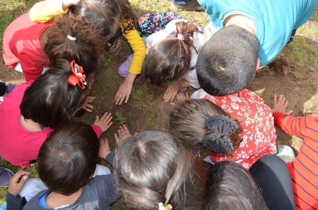 Akdeniz Üniversitesi, anaokullarına fidan dikiyor