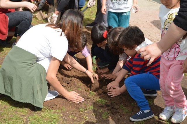 Akdeniz Üniversitesi, anaokullarına fidan dikiyor