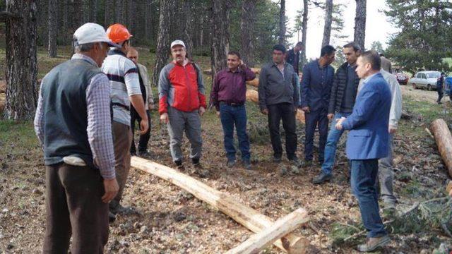 Vali Toraman Emet’te ormancılık faaliyetlerini inceledi