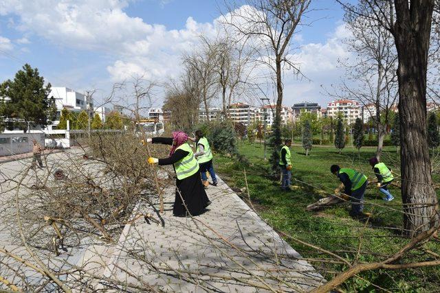 Dede Korkut Parkı’nda bakım ve budama çalışmaları