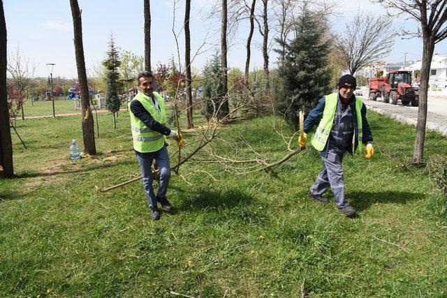 Dede Korkut Parkı’nda bakım ve budama çalışmaları