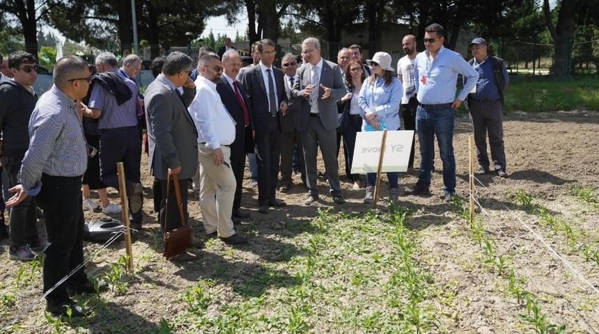 &Uuml;niversite b&uuml;nyesinde uygulamalı ilk tarım festivali