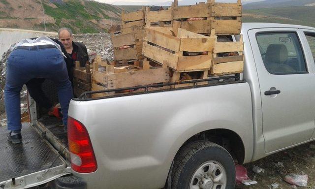 Elazığ’da 900 kilo kaçak avlanan balık yakalandı